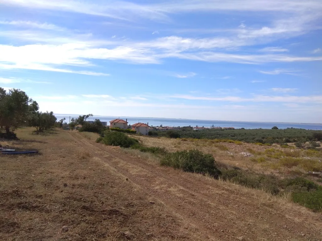 γη προς πώληση 40000 τ.μ Πολύγυρος Χαλκιδική