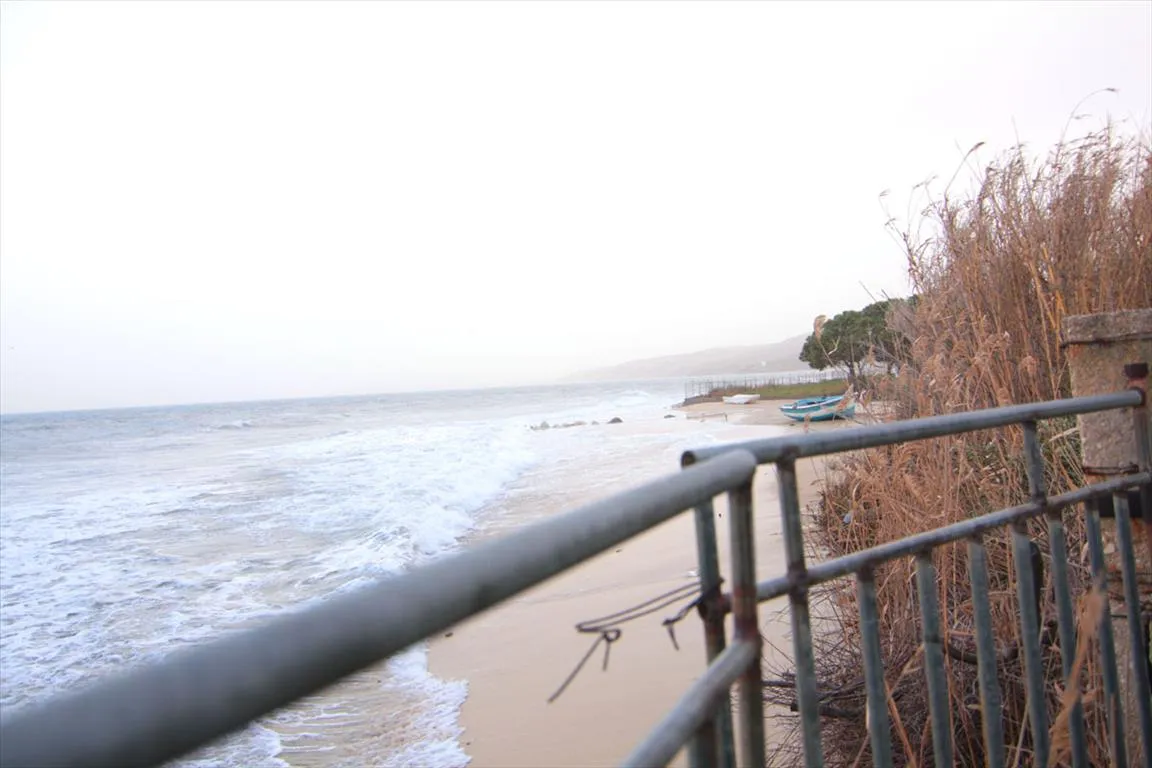 γη προς πώληση 4560 τ.μ Αριστοτέλης Χαλκιδική