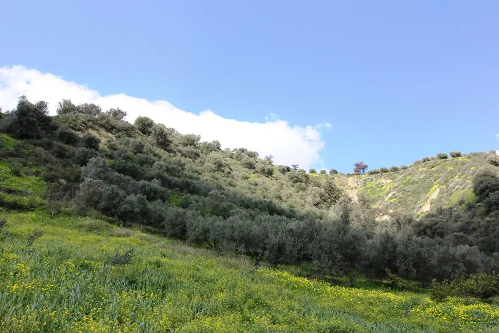 γη προς πώληση 7494 τ.μ Ηράκλειο Κρήτης Νομός Ηρακλείου