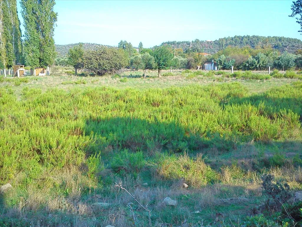 γη προς πώληση 3200 τ.μ Σιθωνία Χαλκιδική