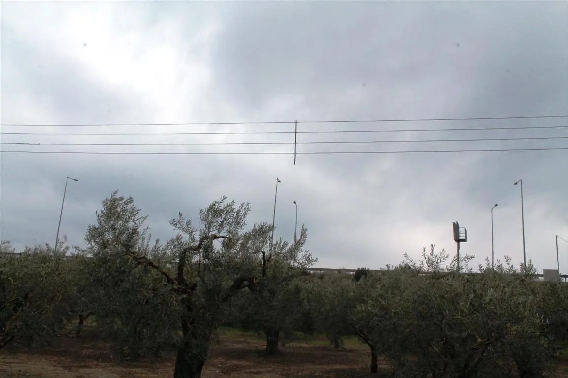 γη προς πώληση 3700 τ.μ Πολύγυρος Χαλκιδική