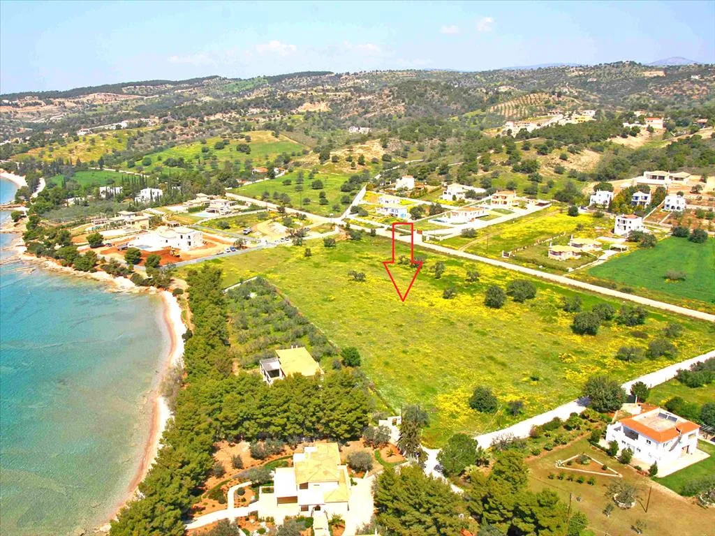 γη προς πώληση 12500 τ.μ Κρανίδι Αργολίδα