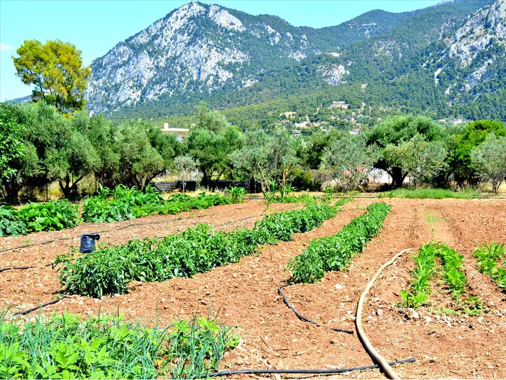 γη προς πώληση 3941 τ.μ Λουτράκι-Περαχώρα Κορινθία