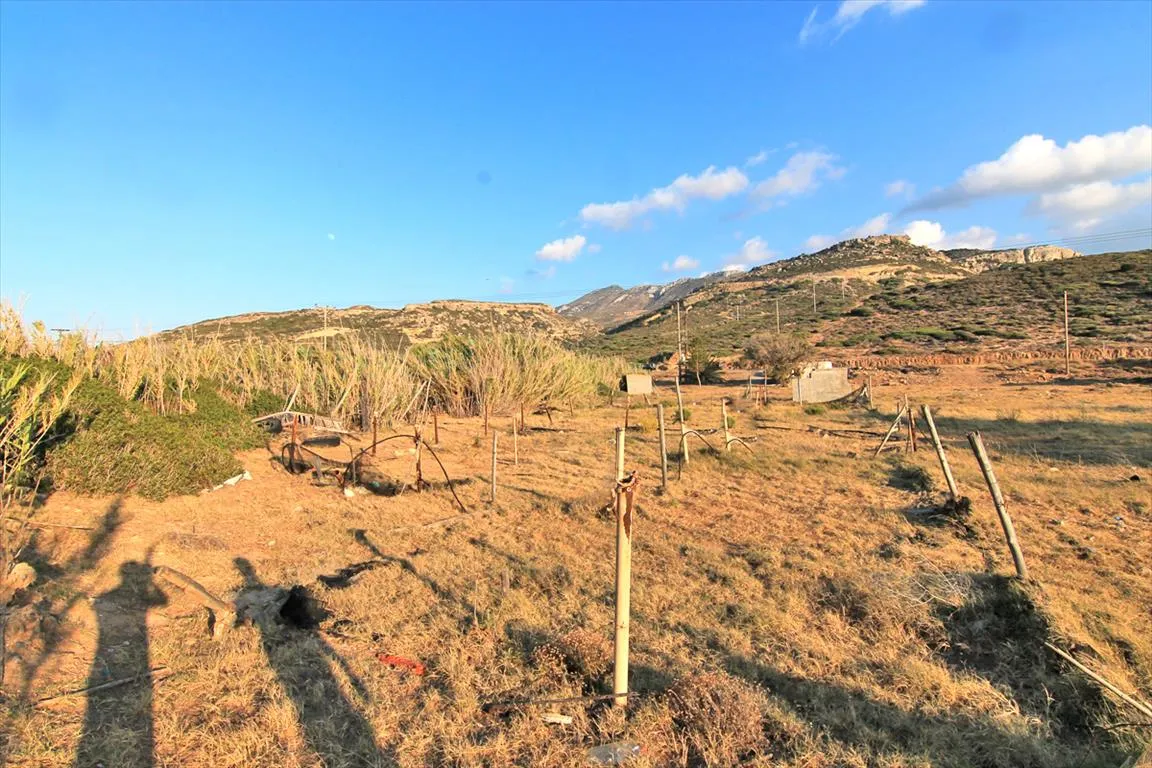 γη προς πώληση 2000 τ.μ Σητεία Νομός Λασιθίου
