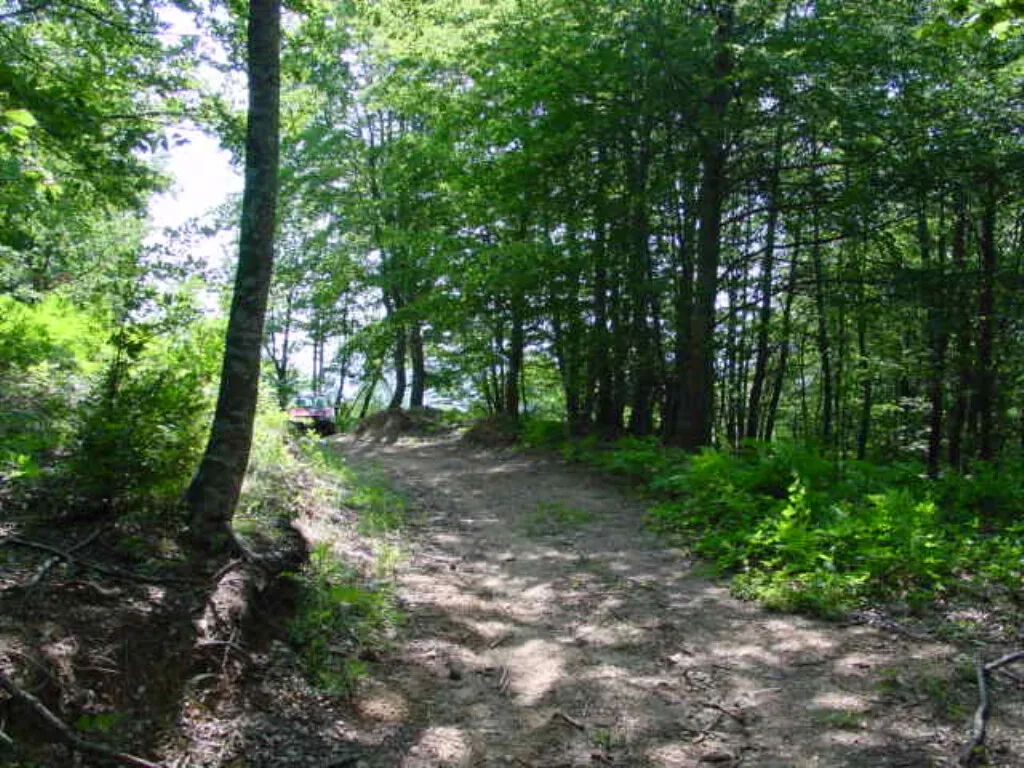 γη προς πώληση 4000 τ.μ Κατερίνη Νομός Πιερίας