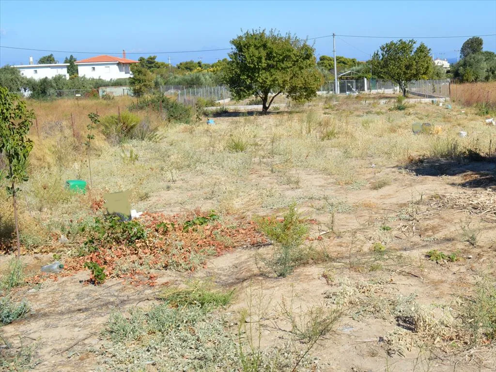 γη προς πώληση 930 τ.μ Αρτέμιδα (Λούτσα) Ανατολικά Αθήνας