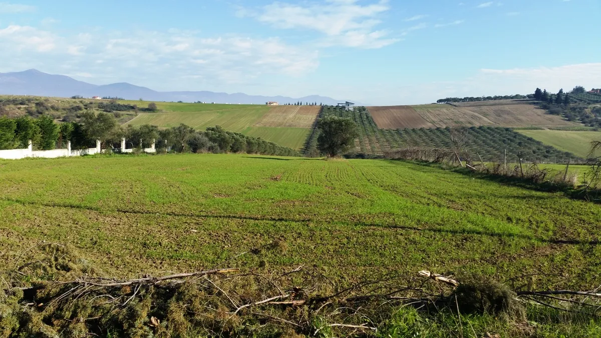 γη προς πώληση 8194 τ.μ Θερμαϊκός Προάστια Θεσσαλονίκης