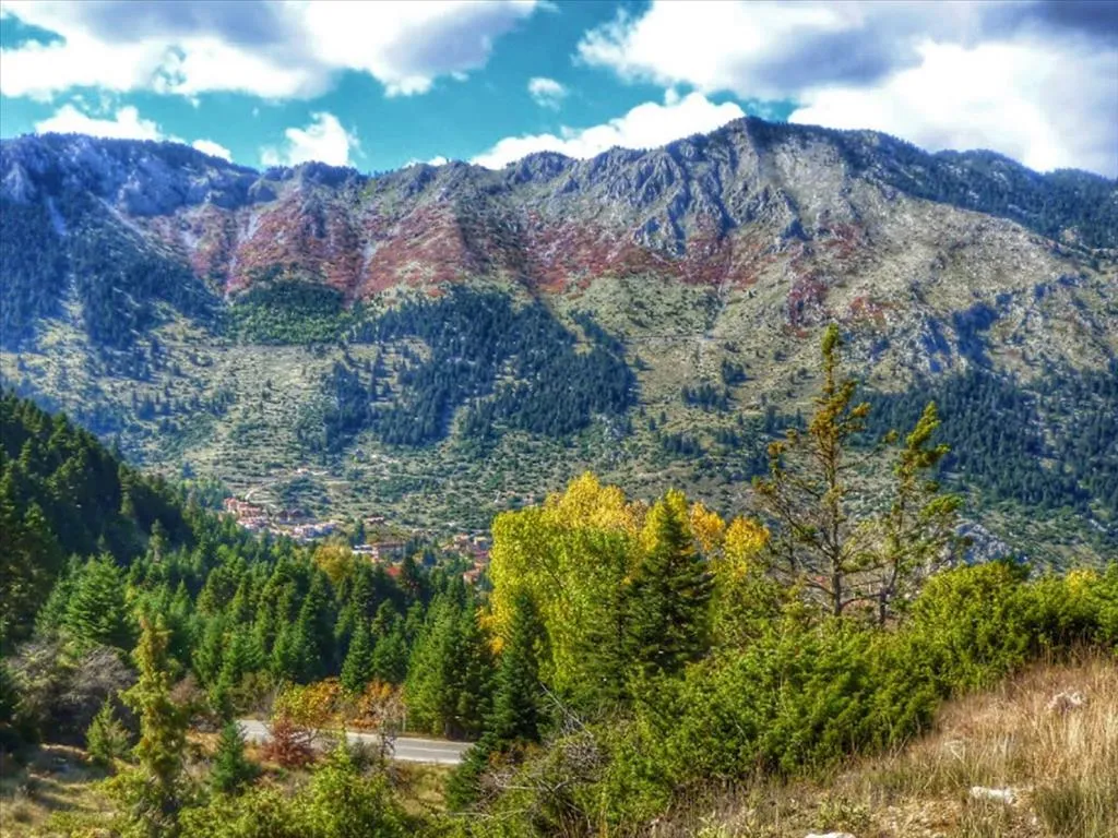 γη προς πώληση 25000 τ.μ Άμφισσα Φωκίδα