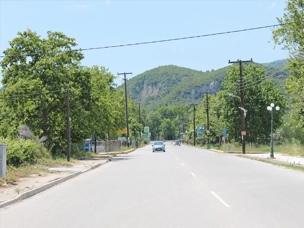 γη προς πώληση 5950 τ.μ Ανατολικός Όλυμπος Νομός Πιερίας