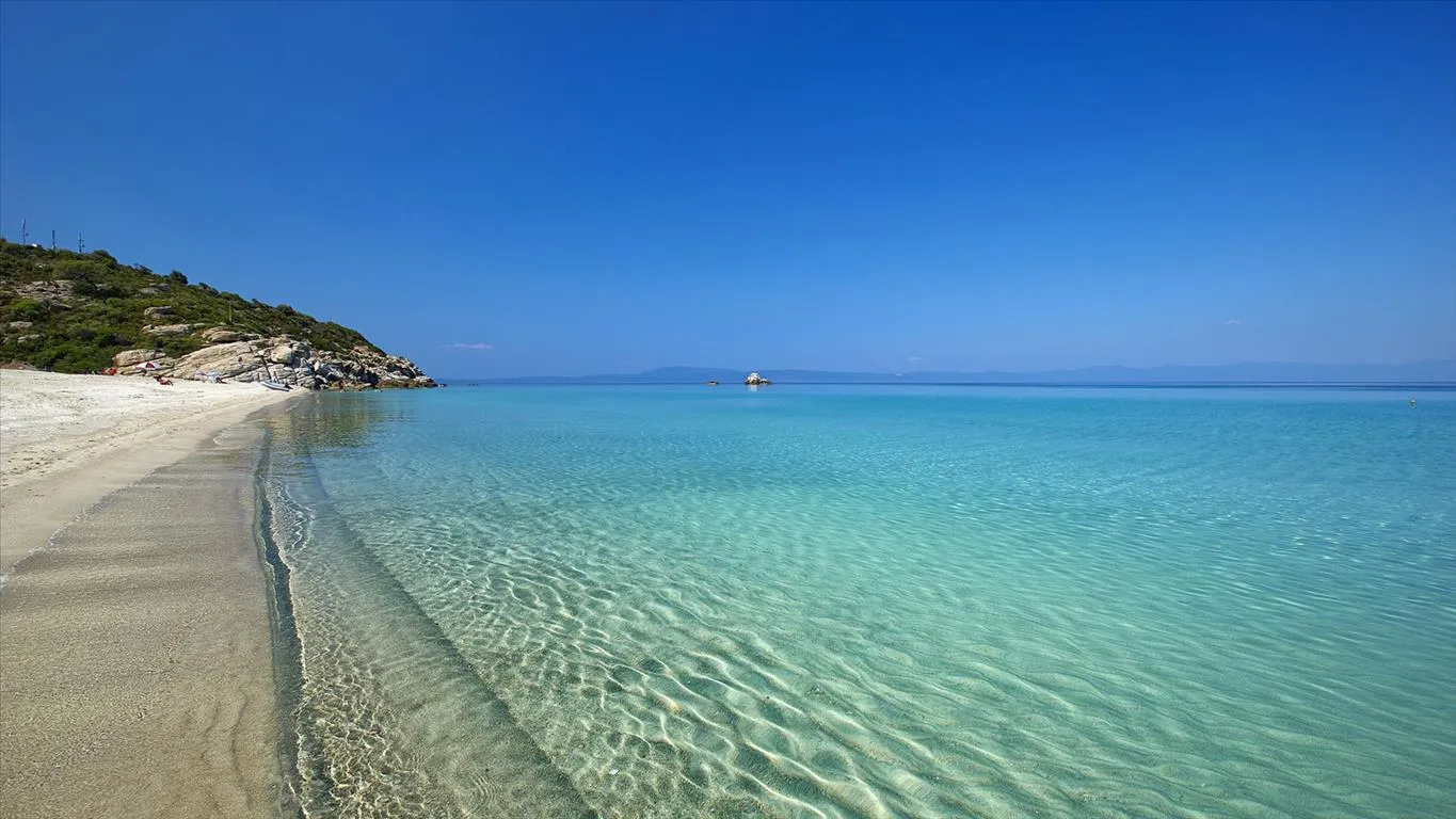 γη προς πώληση 6600 τ.μ Νέα Προποντίδα Χαλκιδική