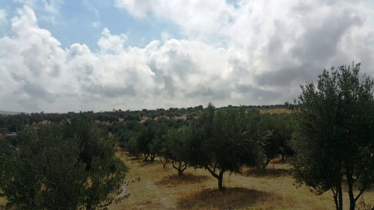 γη προς πώληση 20000 τ.μ Γεροπόταμος Νομός Ρεθύμνου