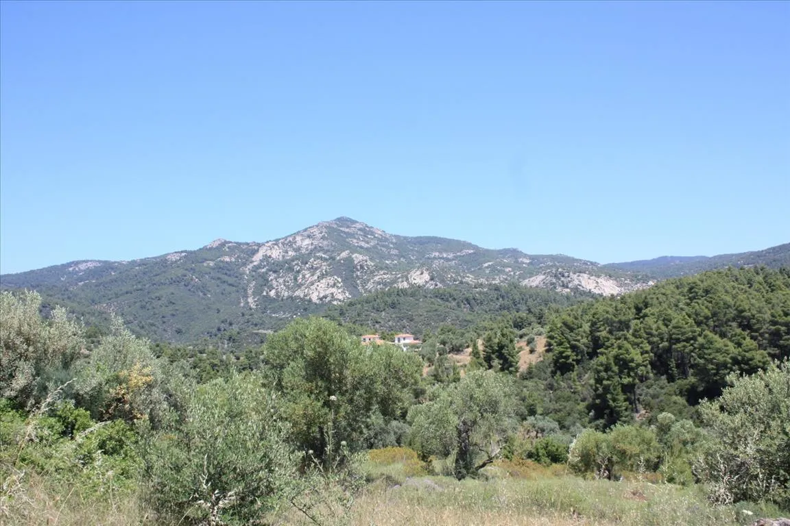 γη προς πώληση 4990 τ.μ Σιθωνία Χαλκιδική