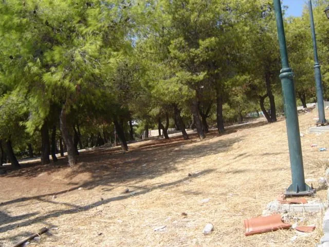 γη προς πώληση 202000 τ.μ Καματερό Δυτικά Αθήνας