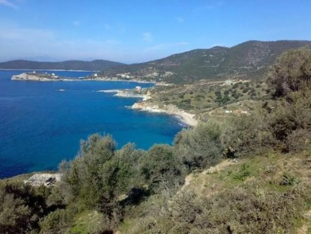 γη προς πώληση 116000 τ.μ Κάρυστος Εύβοια