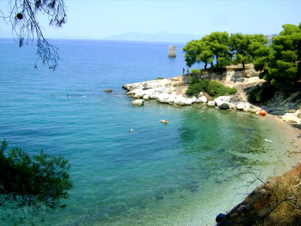 γη προς πώληση 6500 τ.μ Μαλεσίνα Φθιώτιδα