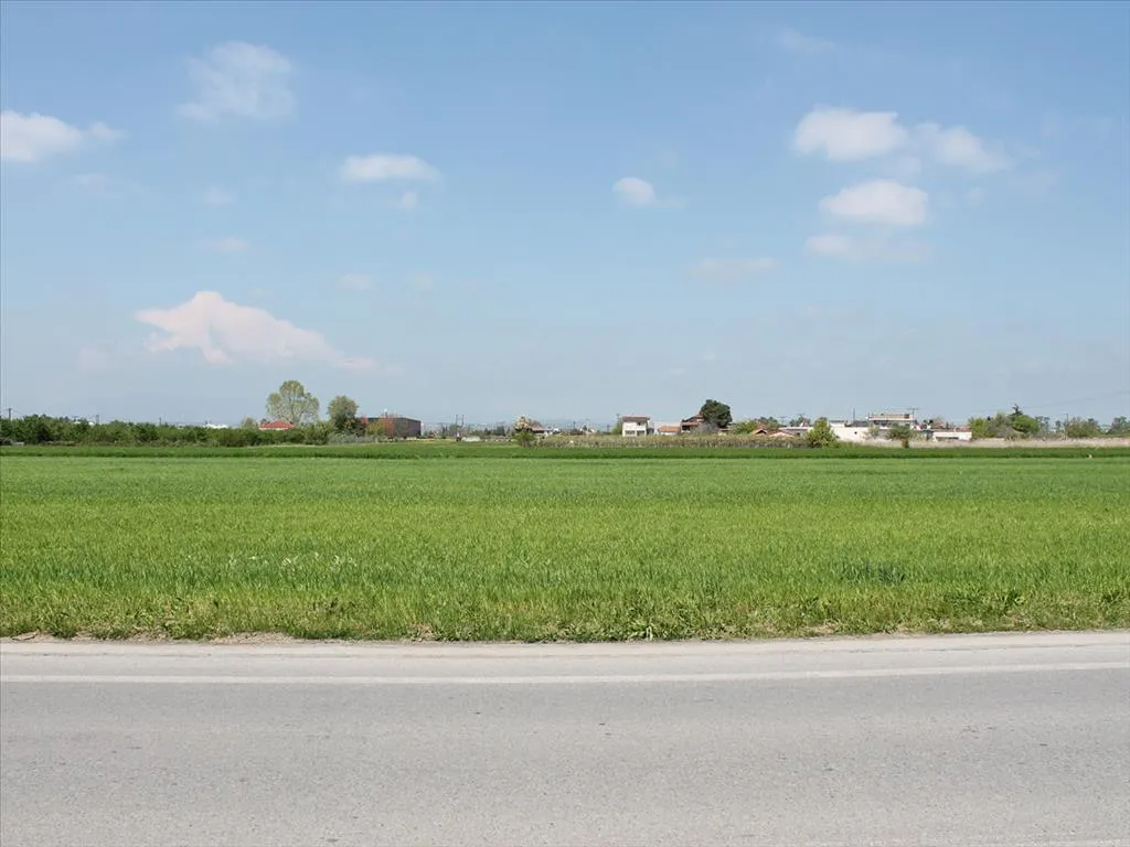 γη προς πώληση 4500 τ.μ Κατερίνη Νομός Πιερίας