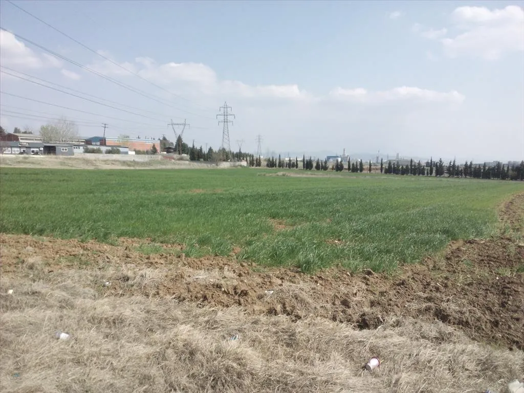 γη προς πώληση 15000 τ.μ Εχεδώρου Προάστια Θεσσαλονίκης