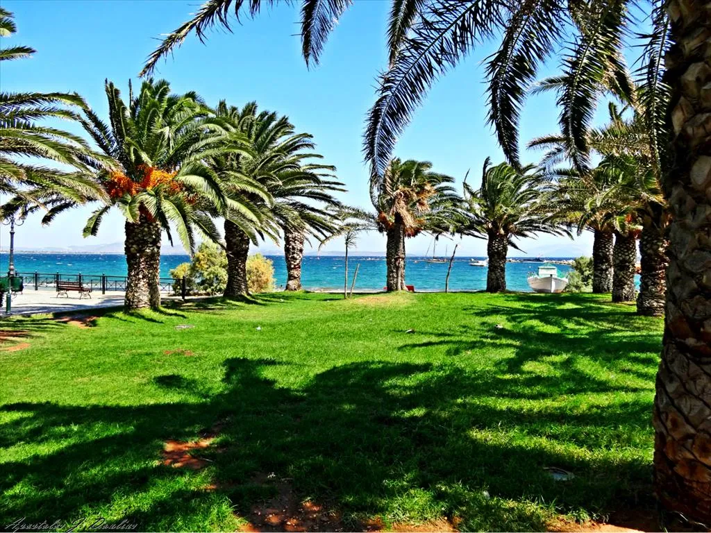 γη προς πώληση 5704 τ.μ Μαραθώνας Ανατολικά Αθήνας