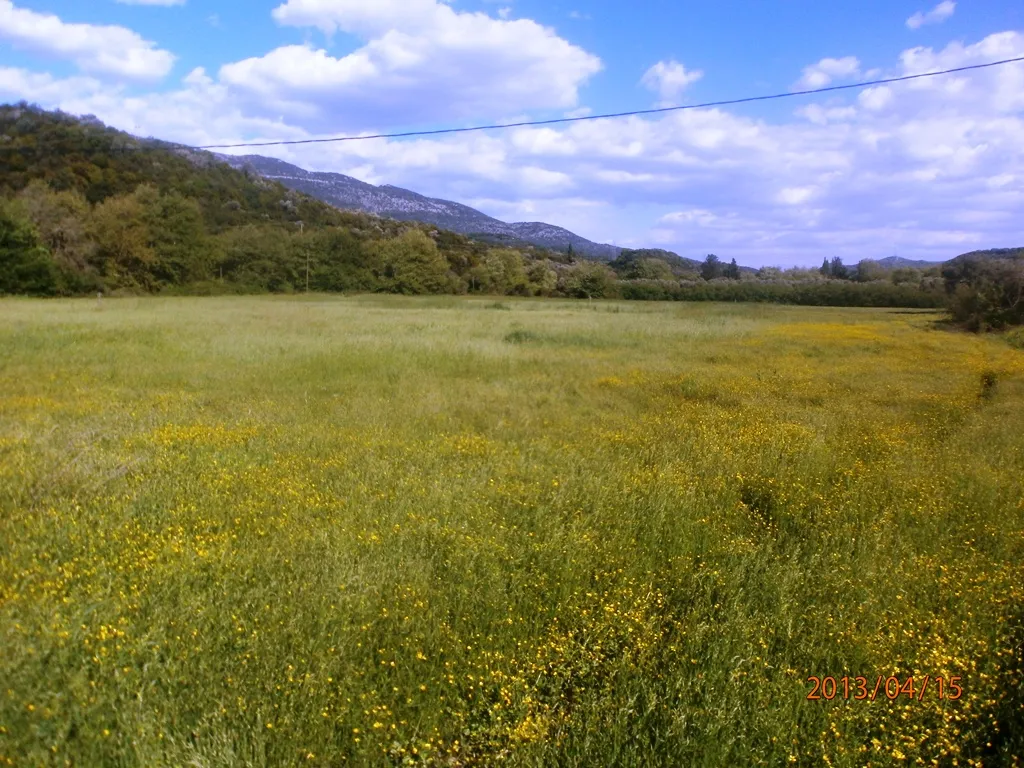γη προς πώληση 23000 τ.μ Σύβοτα Θεσπρωτία