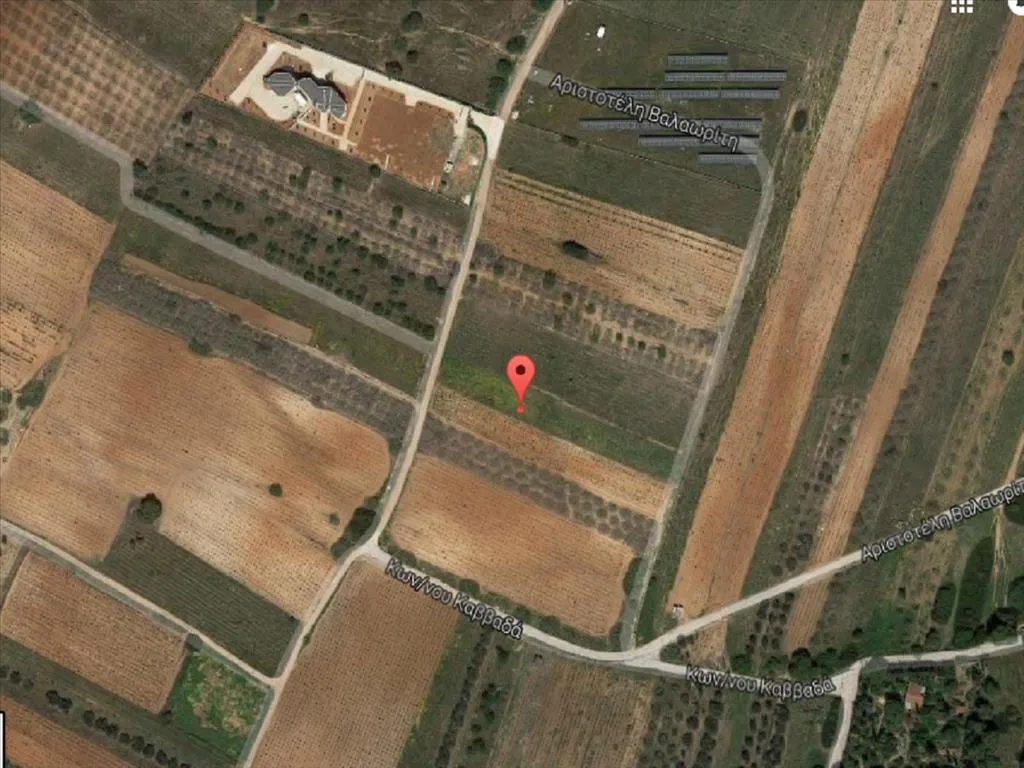 γη προς πώληση 5000 τ.μ Μαρκόπουλο Υπόλοιπη Αττικής