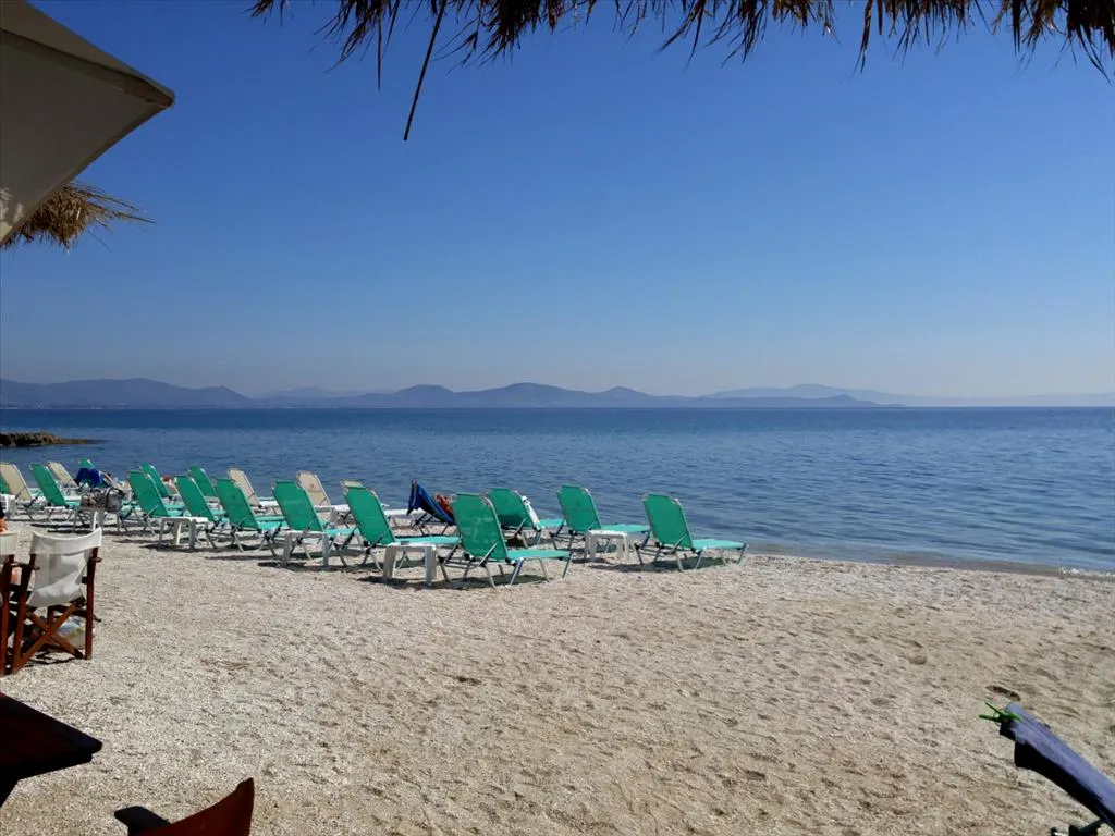 μονοκατοικία προς πώληση 430 τ.μ Μαραθώνας Ανατολικά Αθήνας