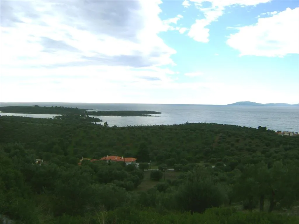 γη προς πώληση 16728 τ.μ Σιθωνία Χαλκιδική