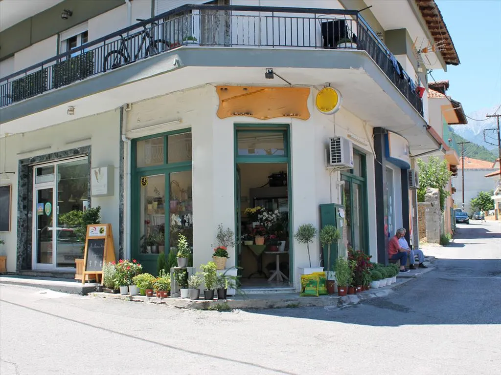 επιχείρηση προς πώληση 55 τ.μ Λιτόχωρο Νομός Πιερίας