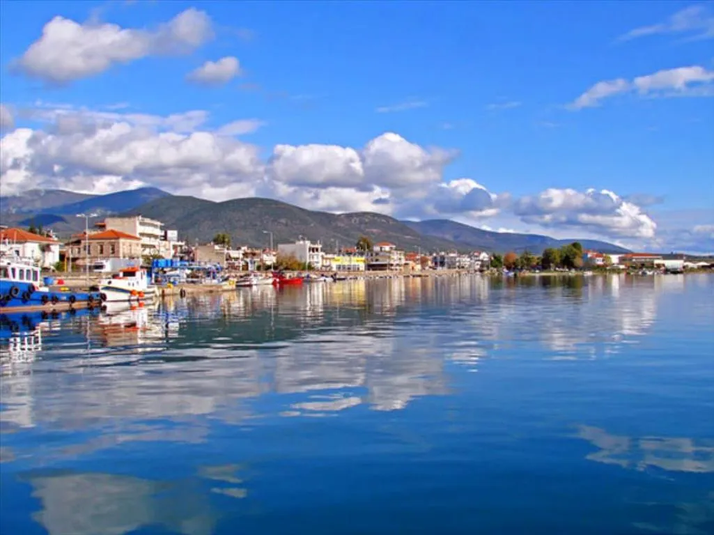 γη προς πώληση 4329 τ.μ Στυλίδα Φθιώτιδα