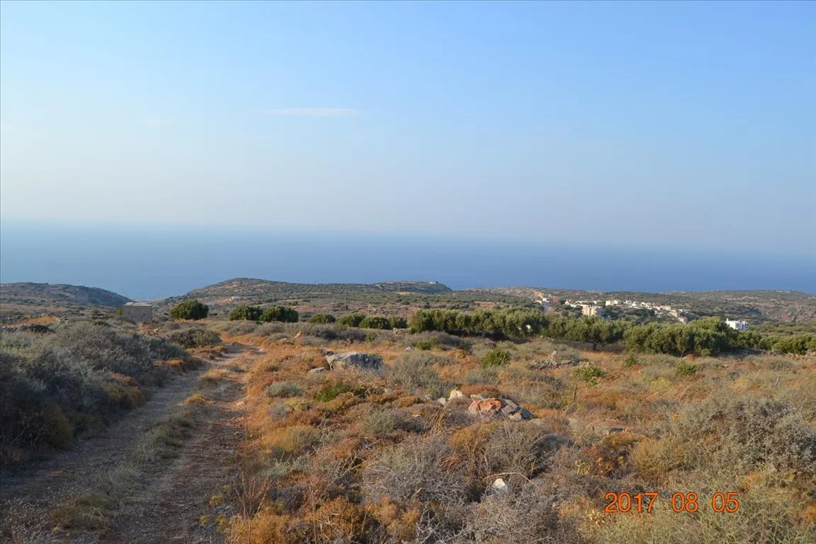 γη προς πώληση 6000 τ.μ Άγιος Νικόλαος Νομός Λασιθίου