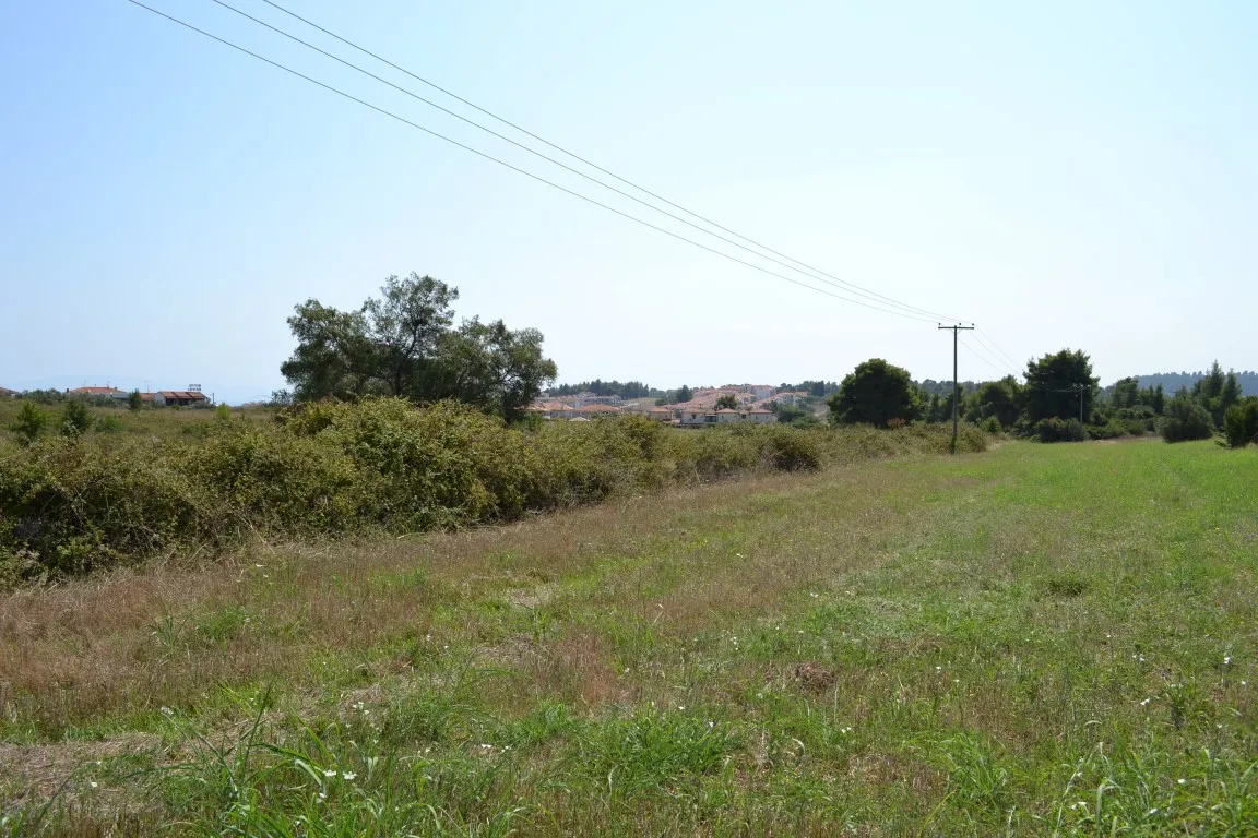 γη προς πώληση 6000 τ.μ Κασσάνδρα Χαλκιδική