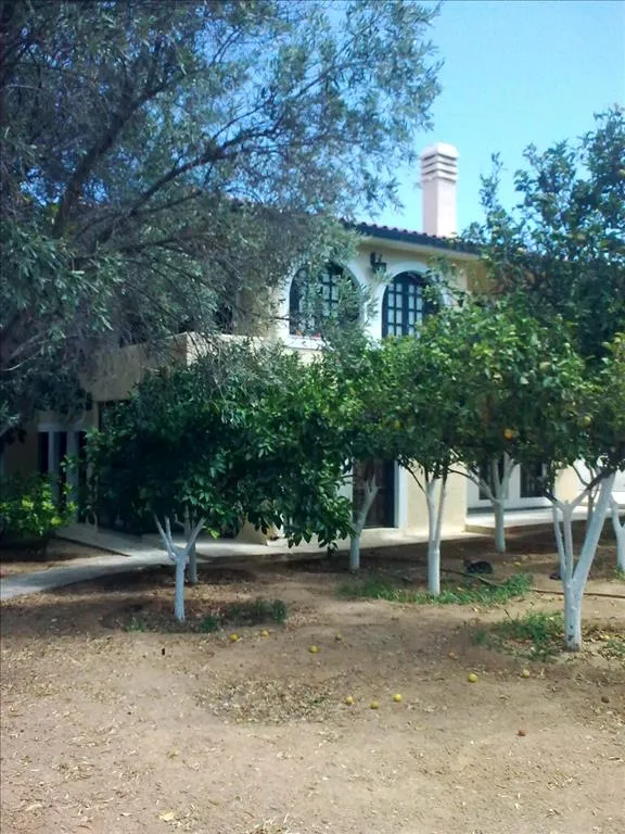 μονοκατοικία προς πώληση 320 τ.μ Αίγινα Νησιά Αργοσαρωνικού