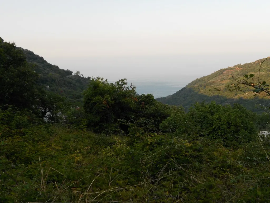 γη προς πώληση 5000 τ.μ Βόλος Μαγνησία