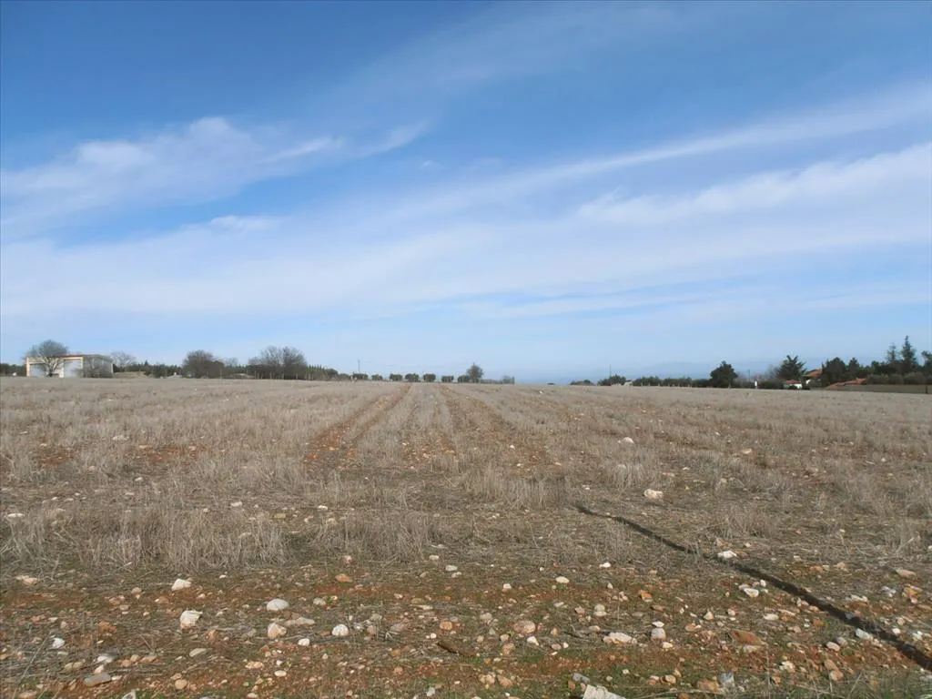 γη προς πώληση 35000 τ.μ Δίον Νομός Πιερίας