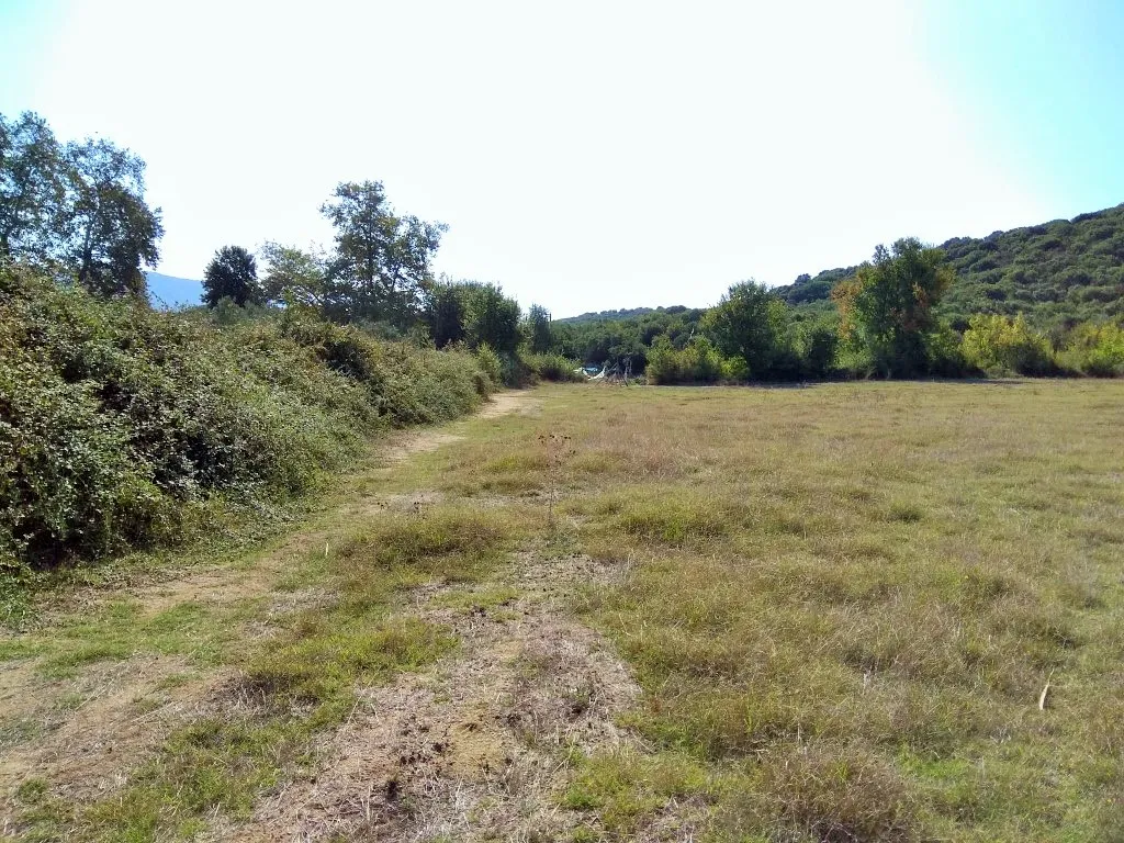 γη προς πώληση 6886 τ.μ Αριστοτέλης Χαλκιδική