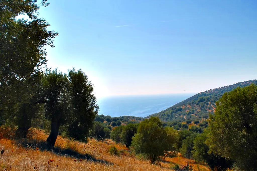 γη προς πώληση 20000 τ.μ Κασσάνδρα Χαλκιδική