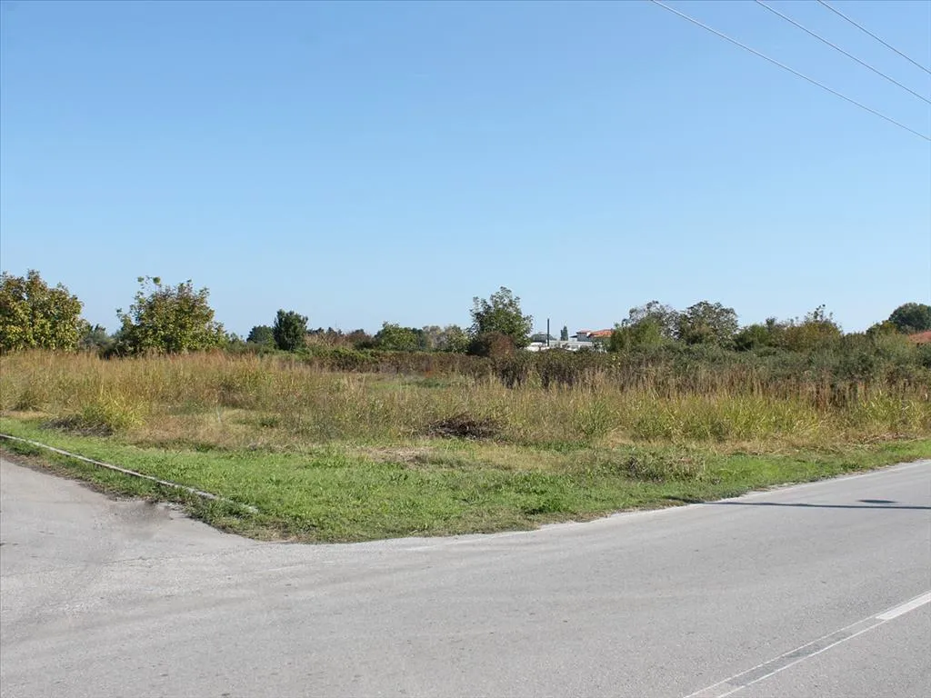 γη προς πώληση 7000 τ.μ Κατερίνη Νομός Πιερίας