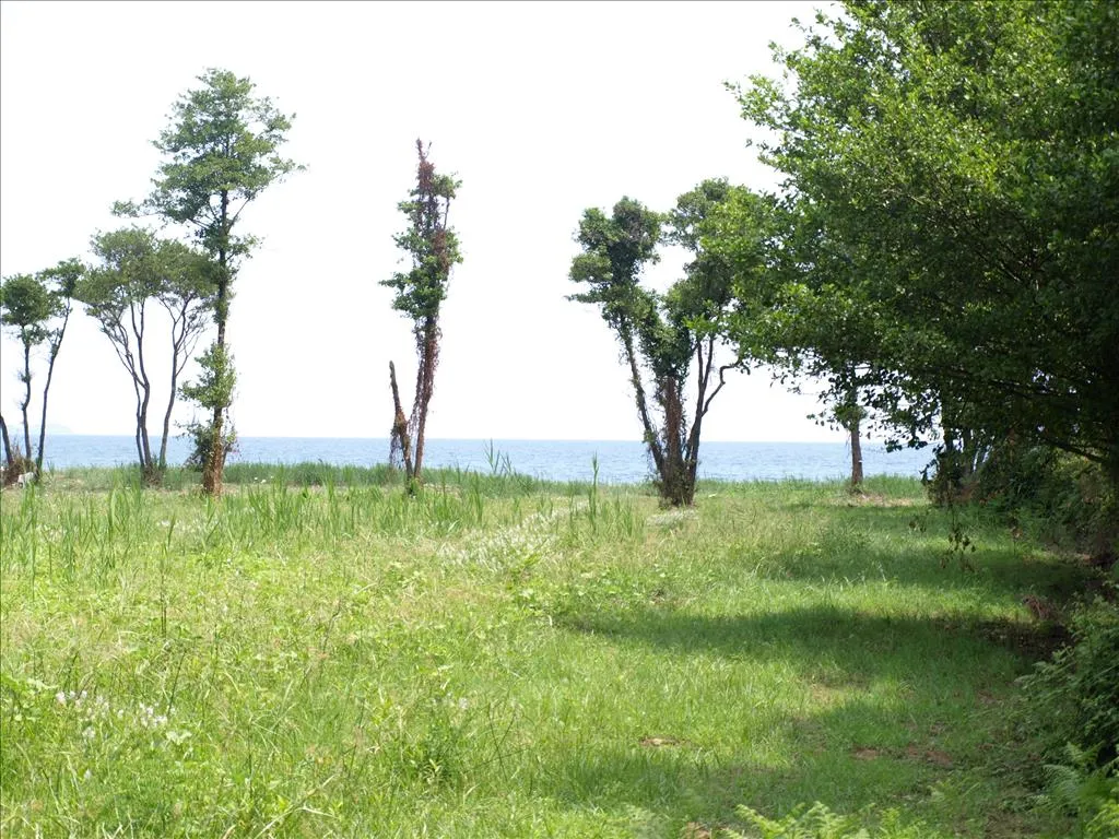 γη προς πώληση 10045 τ.μ Αριστοτέλης Χαλκιδική