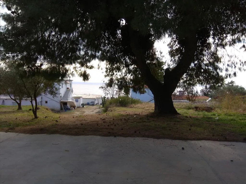 γη προς πώληση 900 τ.μ Πολύγυρος Χαλκιδική