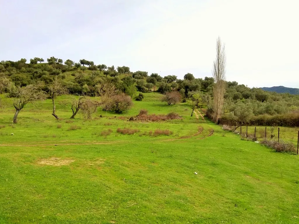 γη προς πώληση 3300 τ.μ Σιθωνία Χαλκιδική