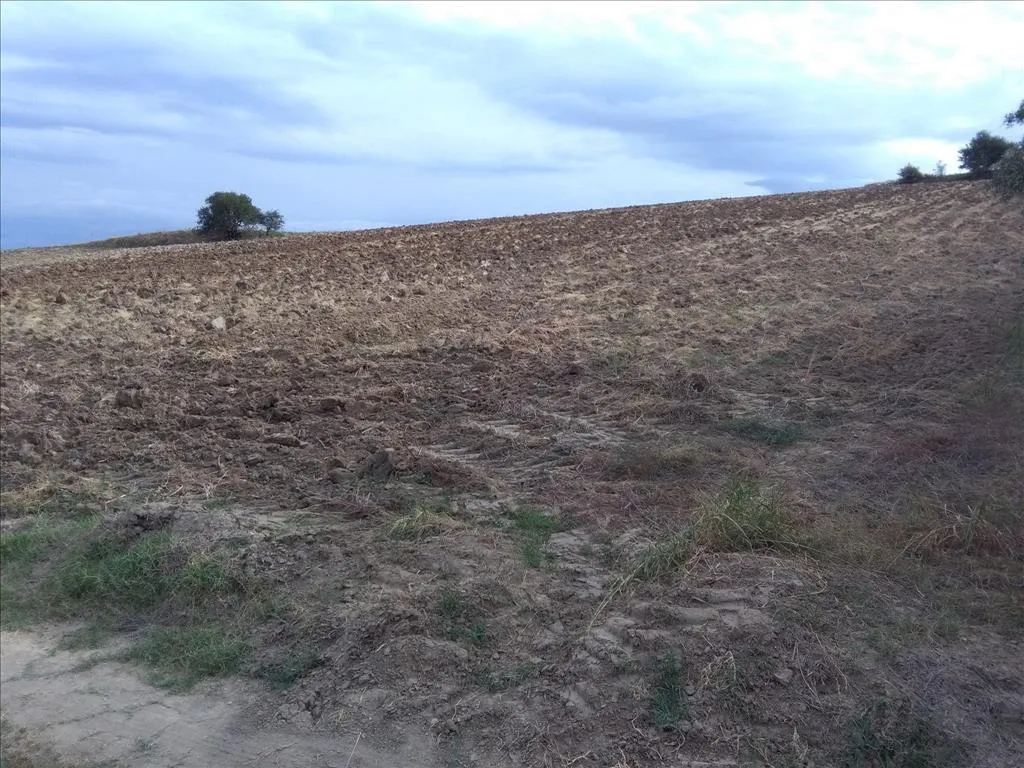 γη προς πώληση 16313 τ.μ Μίκρα Προάστια Θεσσαλονίκης