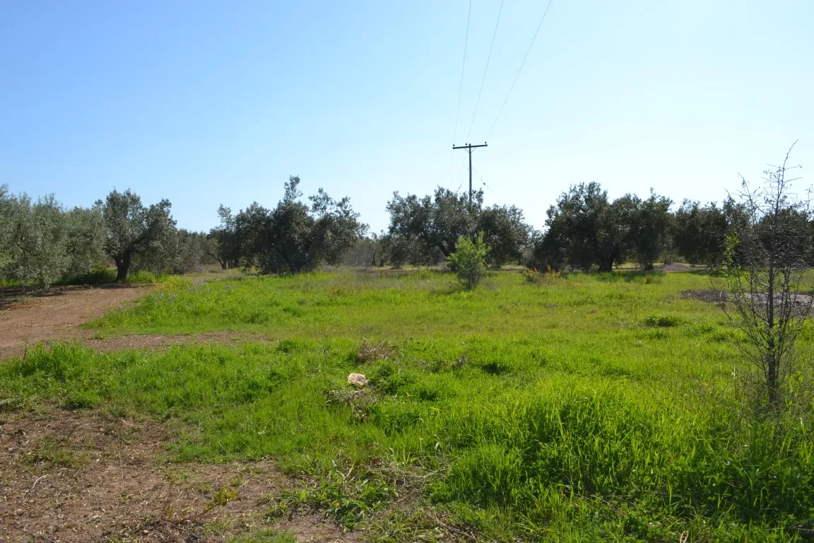 γη προς πώληση 1100 τ.μ Νέα Προποντίδα Χαλκιδική