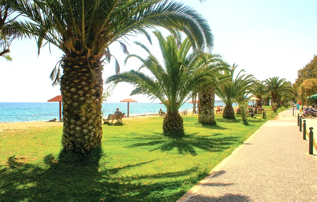 γη προς πώληση 2100 τ.μ Μαραθώνας Ανατολικά Αθήνας