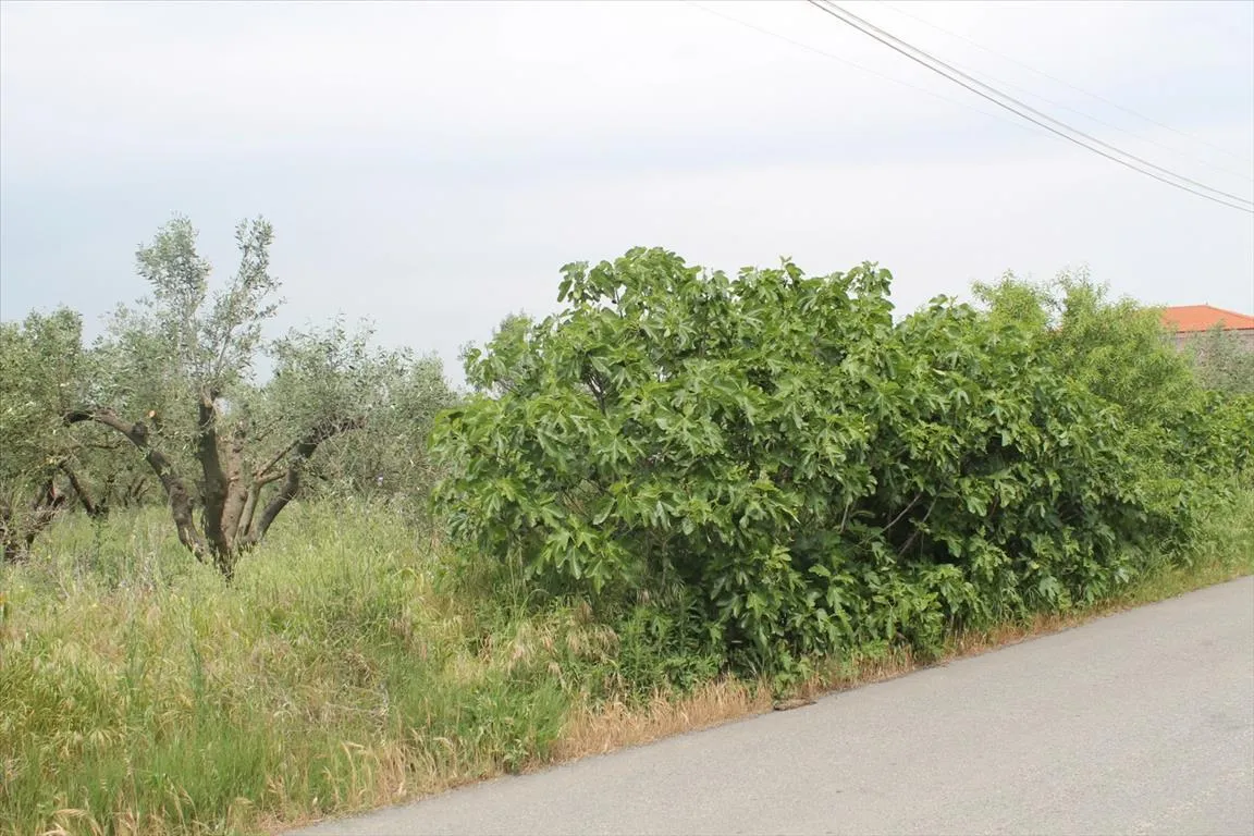 γη προς πώληση 4200 τ.μ Επανωμή Προάστια Θεσσαλονίκης