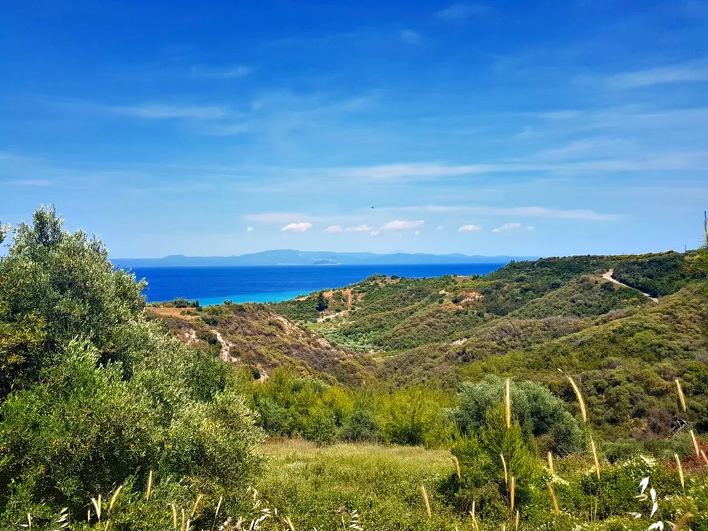 γη προς πώληση 4000 τ.μ Κασσάνδρα Χαλκιδική
