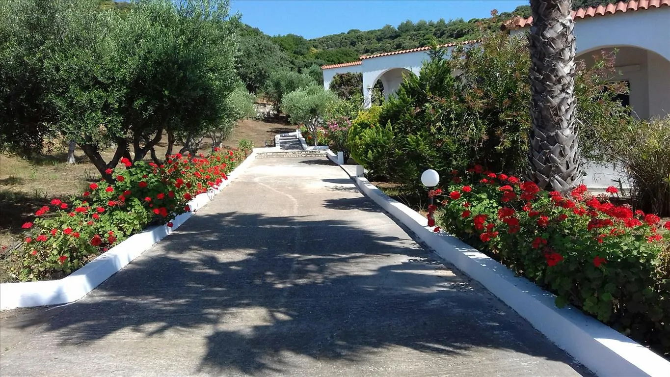 συγκρότημα προς πώληση 332 τ.μ Κάστρο Κυλλήνης Ηλεία