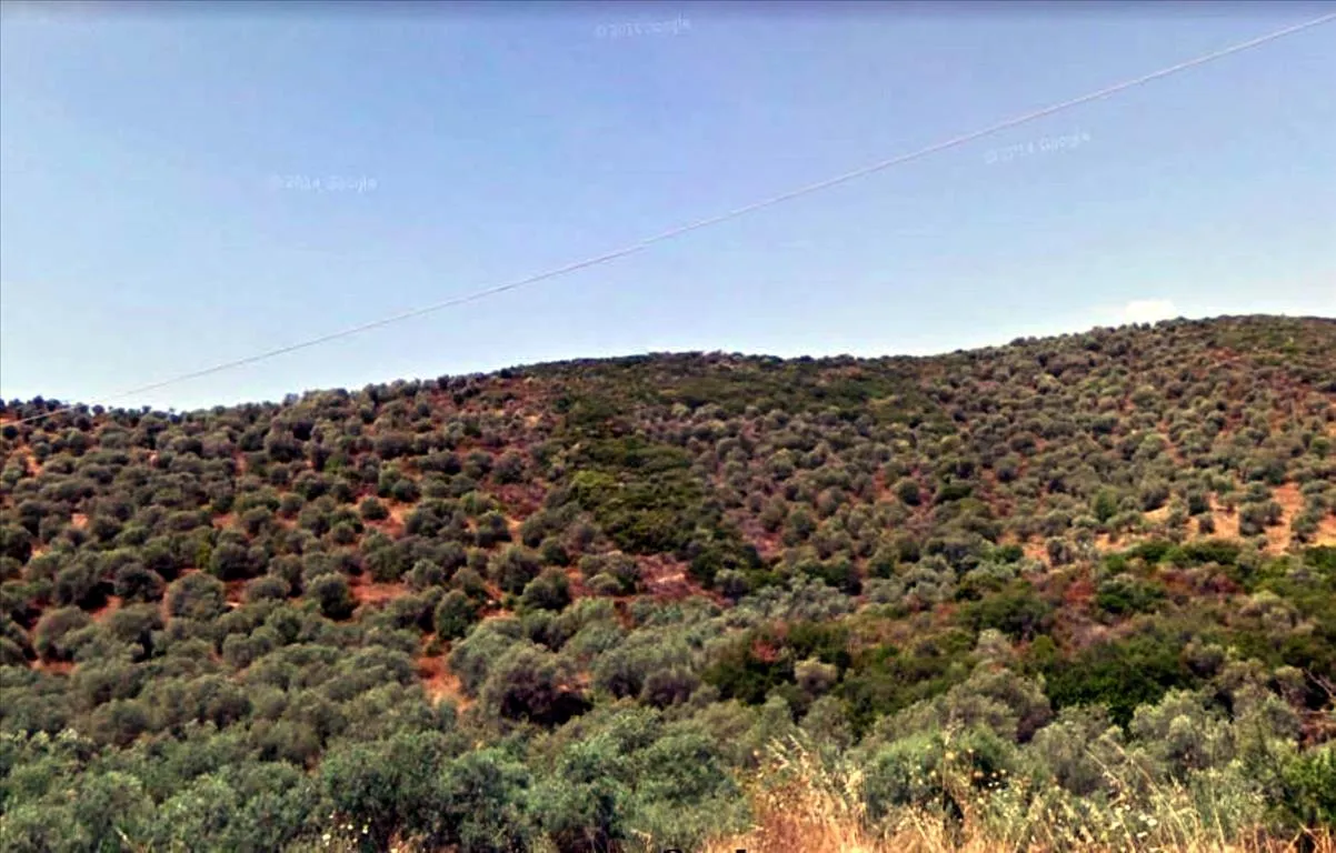 γη προς πώληση 4765 τ.μ Αριστοτέλης Χαλκιδική