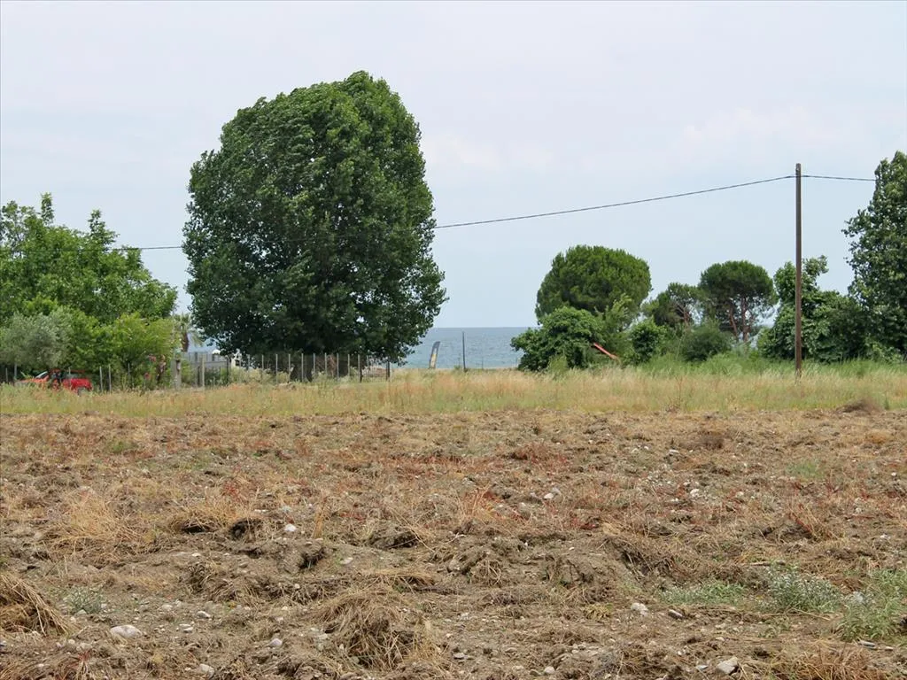 γη προς πώληση 4000 τ.μ Ανατολικός Όλυμπος Νομός Πιερίας