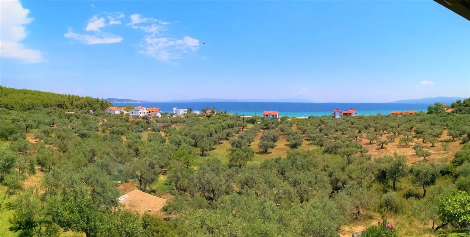 ξενοδοχείο προς πώληση 224 τ.μ Σιθωνία Χαλκιδική