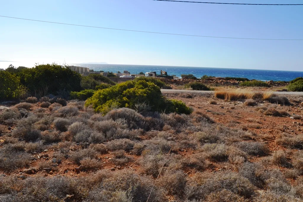 γη προς πώληση 4100 τ.μ Βραχάσι Νομός Λασιθίου