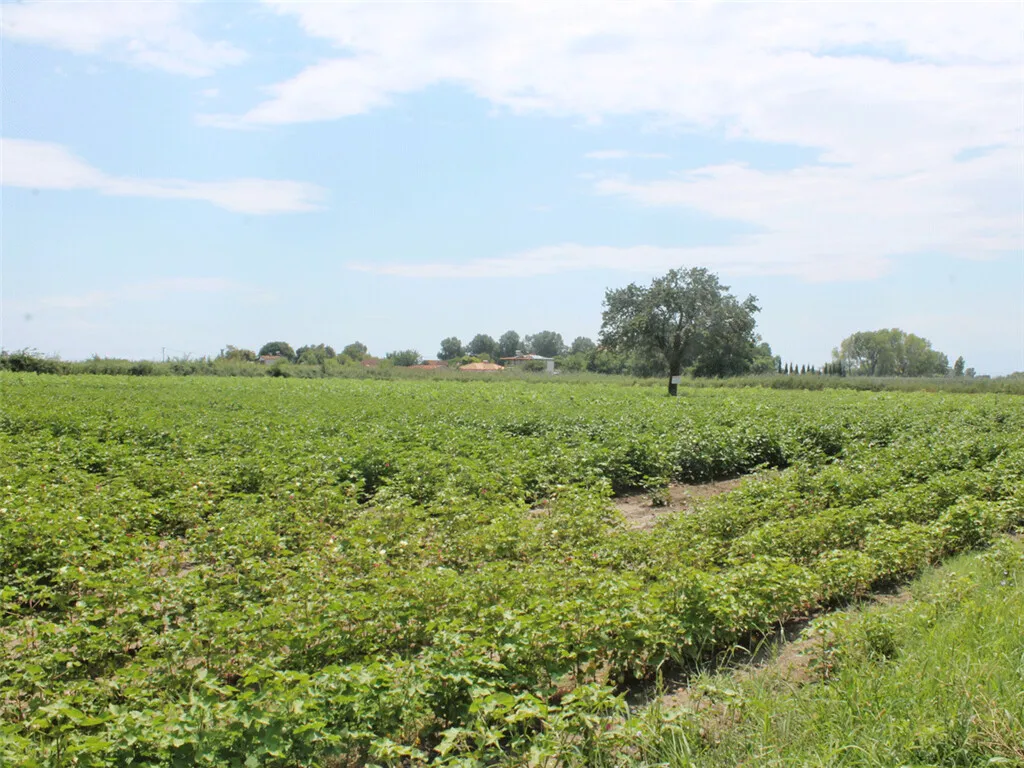 γη προς πώληση 10952 τ.μ Κατερίνη Νομός Πιερίας